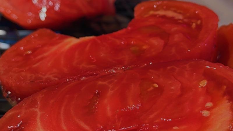 Food grown used to feed homeless 