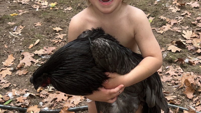 Atticus holding our Sumatra roo tootless.