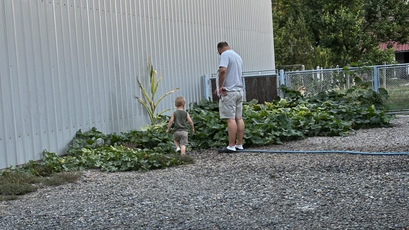 Checking out the Mellons and zucchini in my dads backyard in Serbia.
