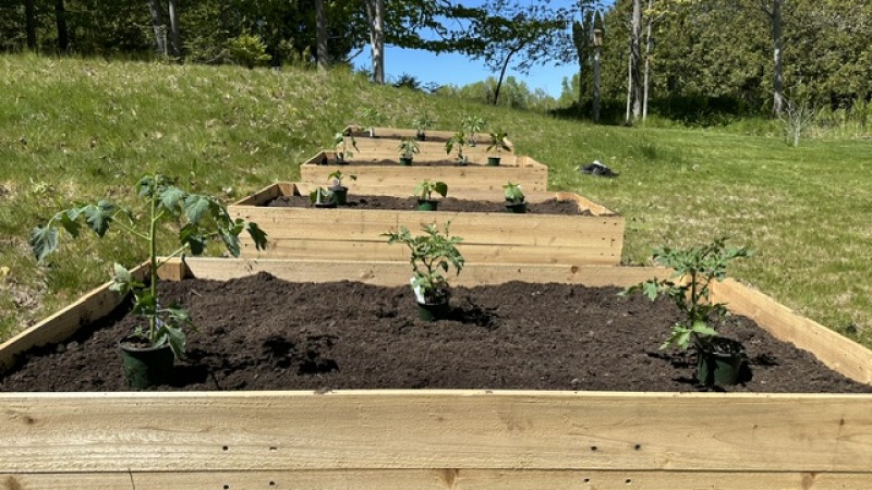 Handmade garden beds for organic produce