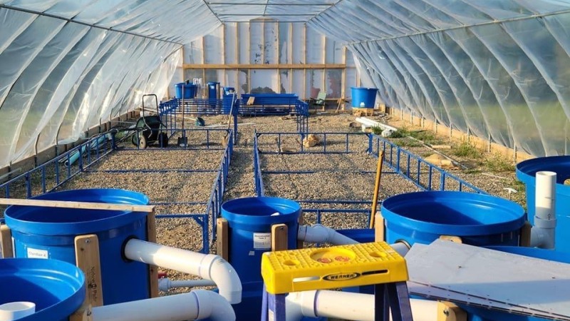 Aquaponics system 