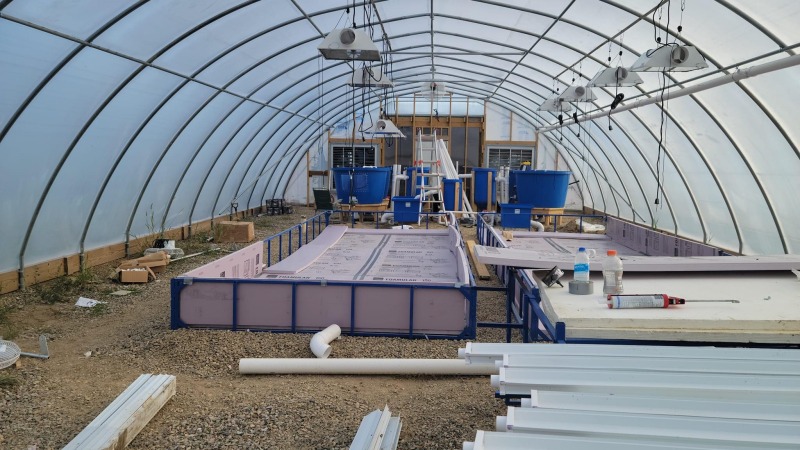 Aquaponics system 