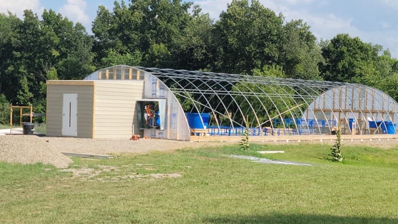 Green house 