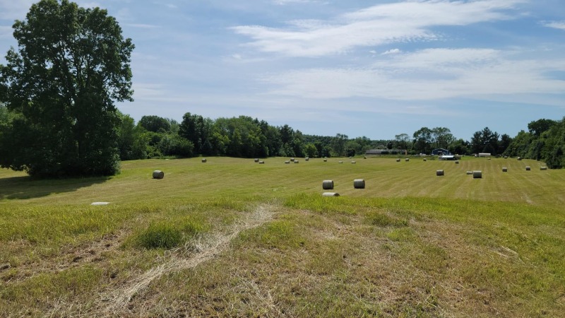 Profitable hay field 