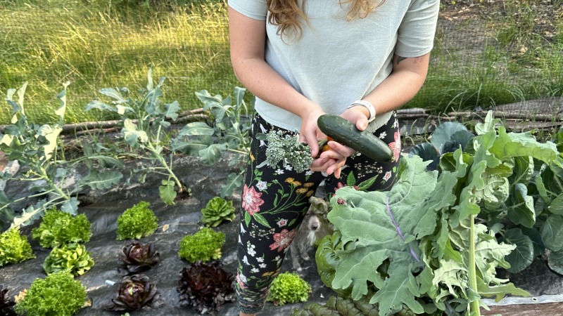 In our home garden with some bounty. 