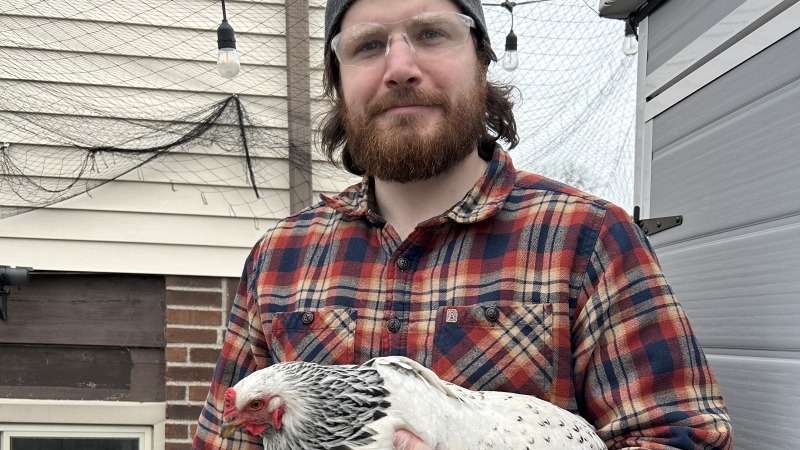 Man holding a light Brahma chicken
