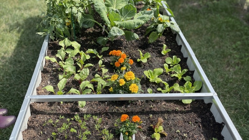 Tall raised bed side view
