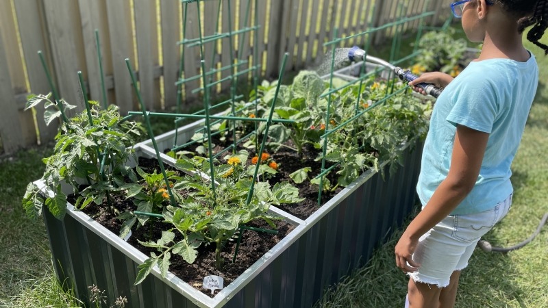 Tall raised bed side front view 
