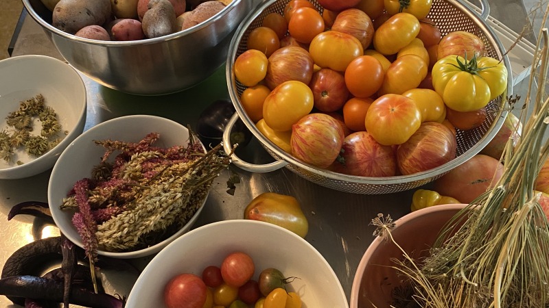 Tomatoes and other vegetables 