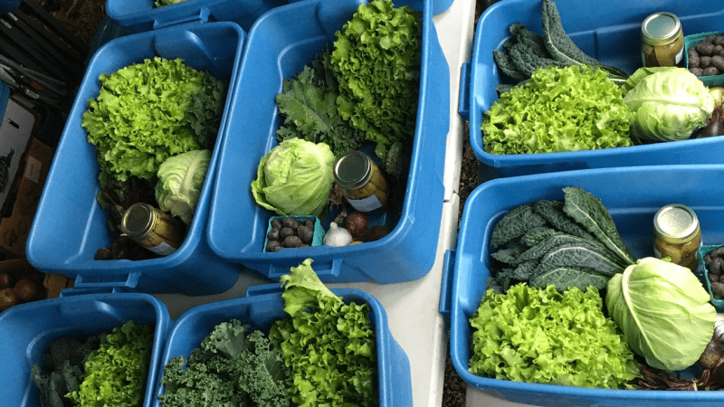CSAs