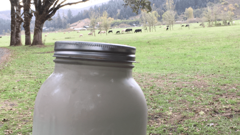 Raw Milk 