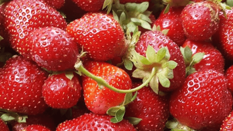 Strawberries 