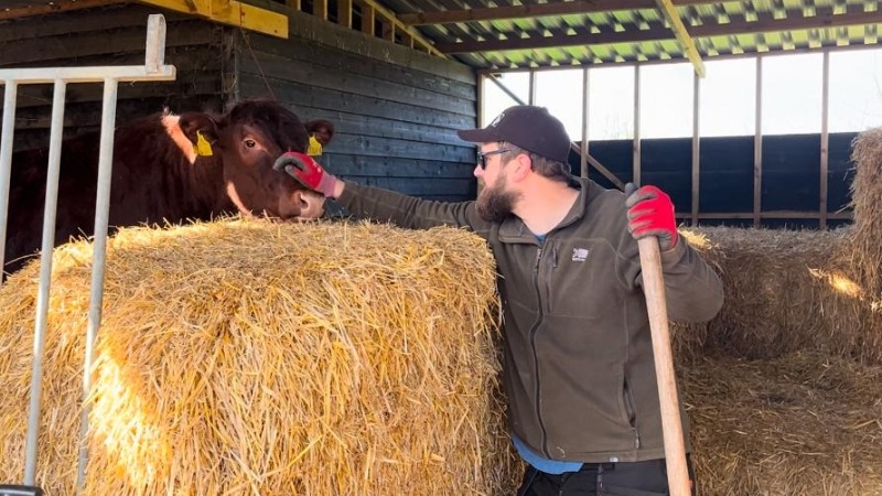 Rich feeding and petting a red poll cow. 