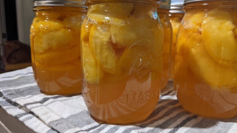 We have done both pressure and water bath canning of locally grown produce 