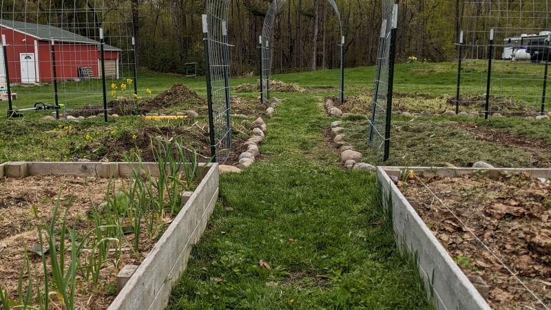 Every year we expand our garden. We grown sweet corn, potatoes, asparagus, tomatoes, carrots, squash, strawberries and more , 