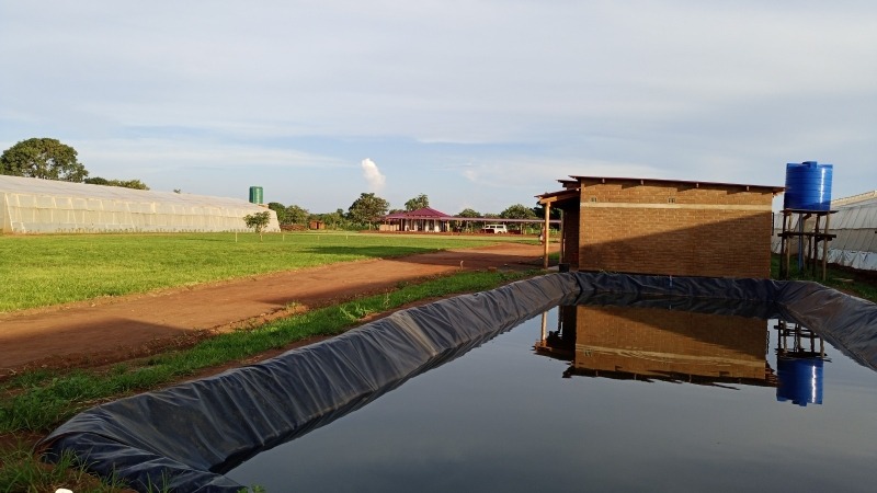 Integrated model - horticulture and aquaculture
