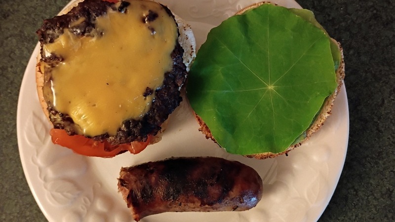 This year I am thrilled to have had the rare luxury of my homegrown nasturtium greens on a burger. How nicely those big leaves fit onto a bun!  Bonus, the tomato was provided by another local gardener. This is a rare treat for me.