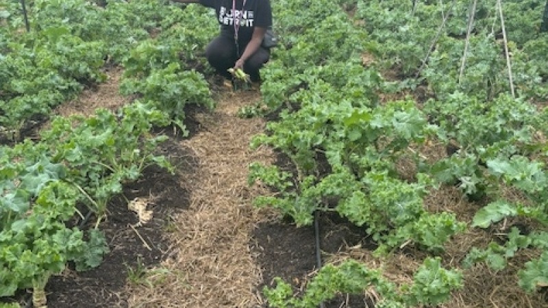 working with volunteers during planting season.