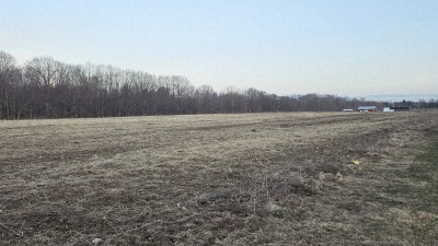 Field 