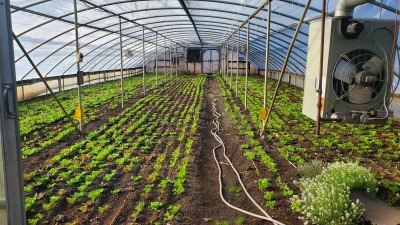 High Tunnel