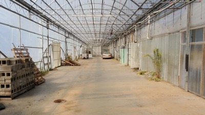 Greenhouse