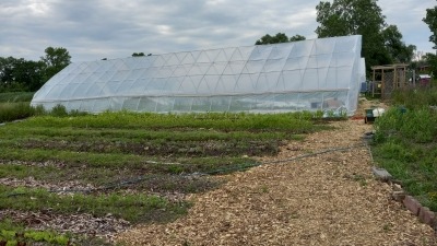 Part of the market garden area.
