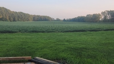 Looking south from Hip Camp site onto acreage for lease