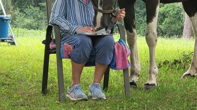 Horse healing happening at equine assisted learning session