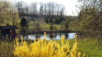 property in spring