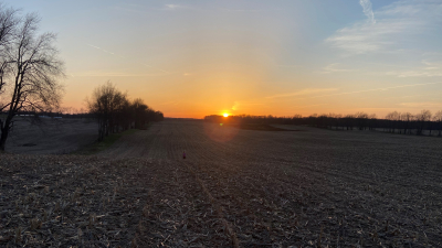 The longer field (approximately one mile in length)