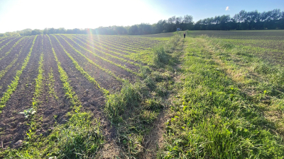 Just another view taken at a pass-through