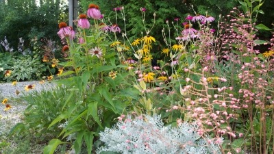 gallery garden entrance