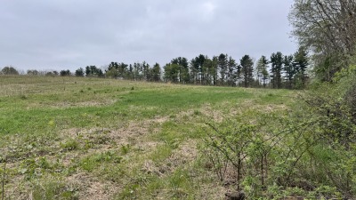 Field Picture 3