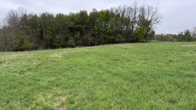 Field Picture 2