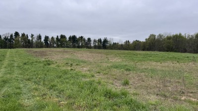 Field Picture 4