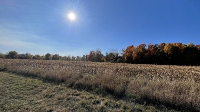 A lovely view of the field.