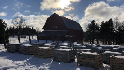 Hugelkultur gardening