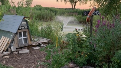 The little duck house next to the big little pond.