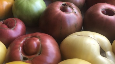 We grow many varieties of heirloom produce in our 1/4 acre food plot/garden