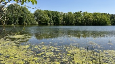 Peas Lake 