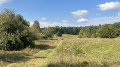 howell property looking into back field 
