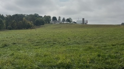 perry property lookin gup to barn 