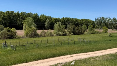 Field