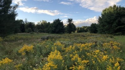 Land