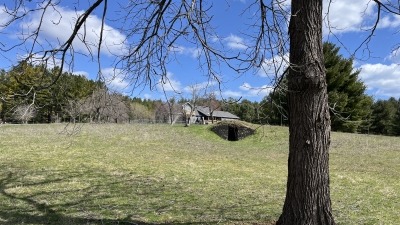 Root Cellar