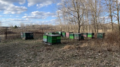 Currently leasing to a beekeeper.