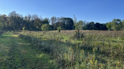 facing west with 1-2 yr old trees. Several nut bearing chestnut trees.