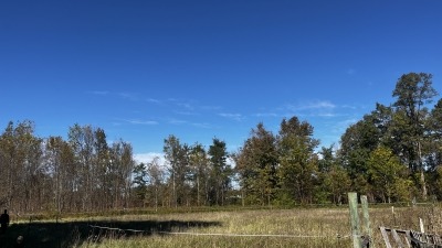 Electric fencing