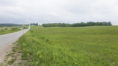 Field with hay growing