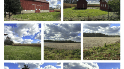 barn images